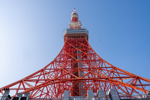Tokyo: 1-dagars höjdpunkter med privat bil och guide