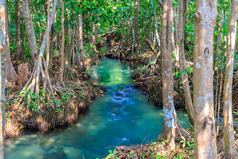 Ao Nang: Crystal Pool Kajak, ATV und Ananas Farm Tour45-minütige ATV-Fahrt