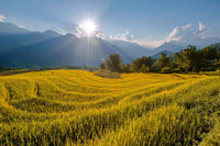 From Sapa, 1-Day Guided Trek to Lao Chai & Ta Van with Lunch - Housity