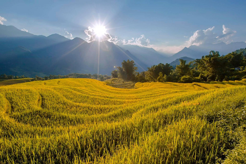 Au départ de Sapa : randonnée guidée d'une journée à Lao Chai et Ta Van avec déjeuner