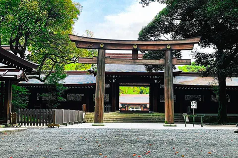 東京：シティツアーB