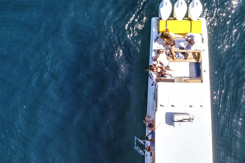 Panama: Las Perlas Archipelago Whale Watching Tour