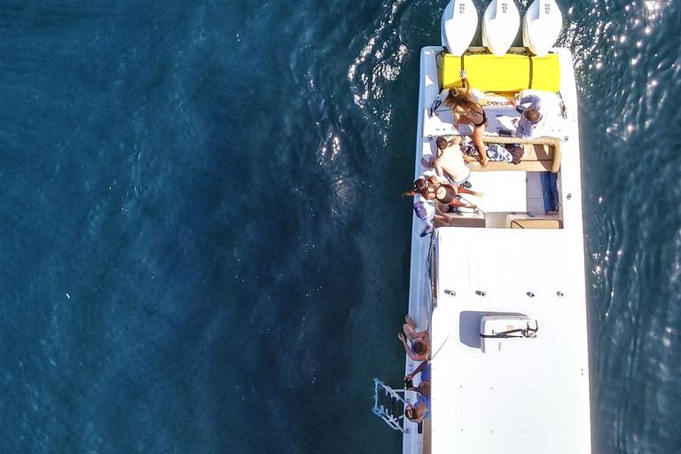 Panama: Las Perlas Archipelago Whale Watching Tour