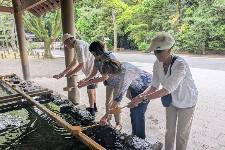 4-Hour Nagoya Private Tour – Licensed Guide & Private Car