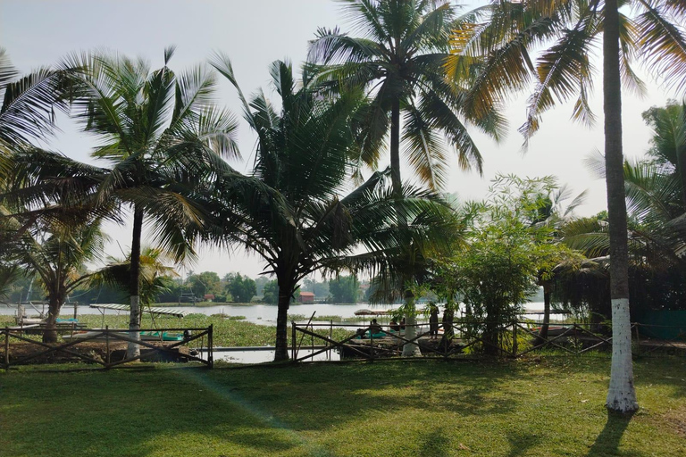 Kochi: Sightseeing Tuk-Tuk Tour med upphämtning från kryssningsfartyg