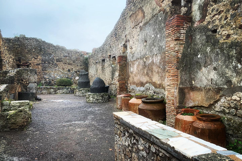 Pompei: TRAMONTO, TOUR A PIEDI E BIGLIETTO D&#039;INGRESSO