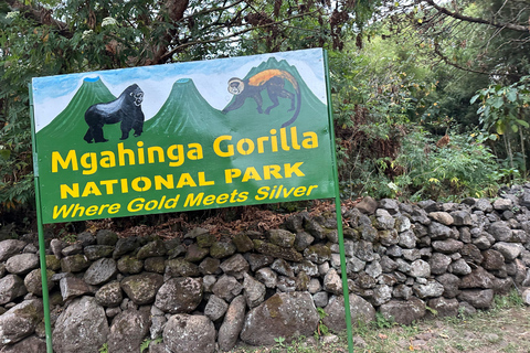 Passeio de 3 dias ao Gorila Mgahinga Gorilla NP Uganda via Ruanda