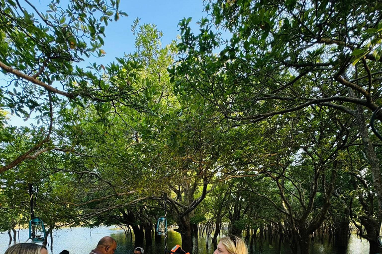 Sigiriya to Trincomalee: Kayaking & Floating Restaurant Tour