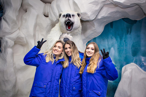 Foz do Iguaçu: Dreams Park Show Ice Bar Entry & Drinks