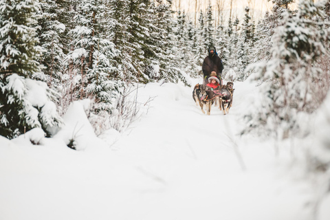 Palmer: "Dogs and Glaciers" Rodelen en Helikoptertour