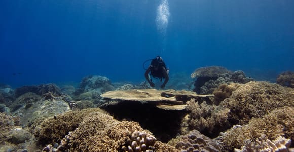 Nha Trang 3-Island Scuba Diving Tour