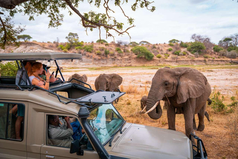 From Zanzibar: 3-Day Nyerere National Park Safari by Flight 3-Day Nyerere Safari From Zanzibar by Flight & Night Drive