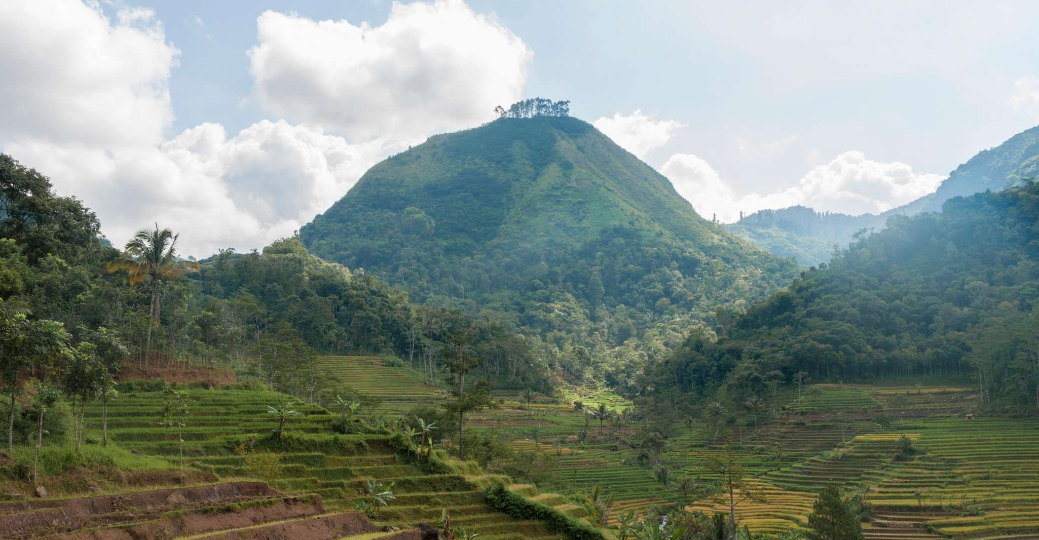 yogyakarta, Selogriyo, Marvel Amidst Java's Lush Terraces - Housity
