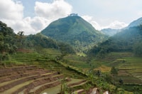 Yogyakarta, Selogriyo, Marvel tra le lussureggianti terrazze di Java - Housity