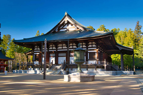Guided Wakayama Heritage & Forest Trails with Hotel Pickup