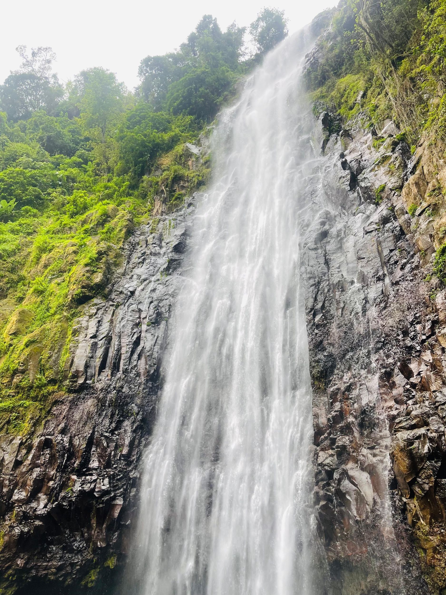 Ab Moshi: Tagestour mit Wanderung zu den Materuni-Wasserfällen, Kaffeetour und Mittagessen