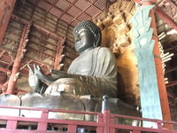 Tour guidato privato di mezza giornata ai Templi di Nara - Hizvo