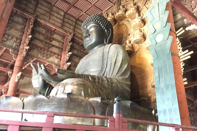 Visite guidée privée d'une demi-journée des temples de Nara