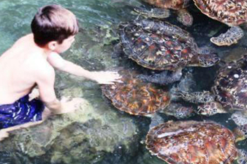 Zanzibar: Prywatne safari Pungume z piknikiem BlueZanzibar: Prywatne safari Pungume z niebieskim piknikiem