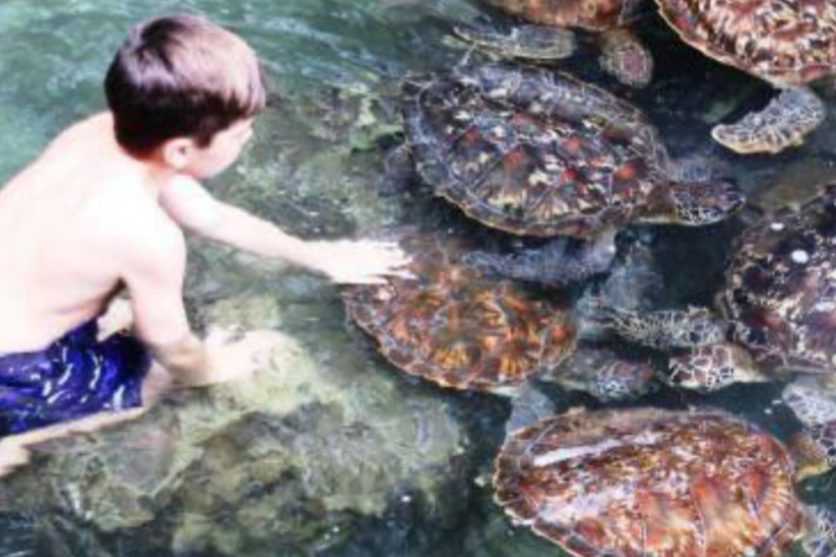 Zanzibar: Prywatne safari Pungume z piknikiem BlueZanzibar: Prywatne safari Pungume z niebieskim piknikiem