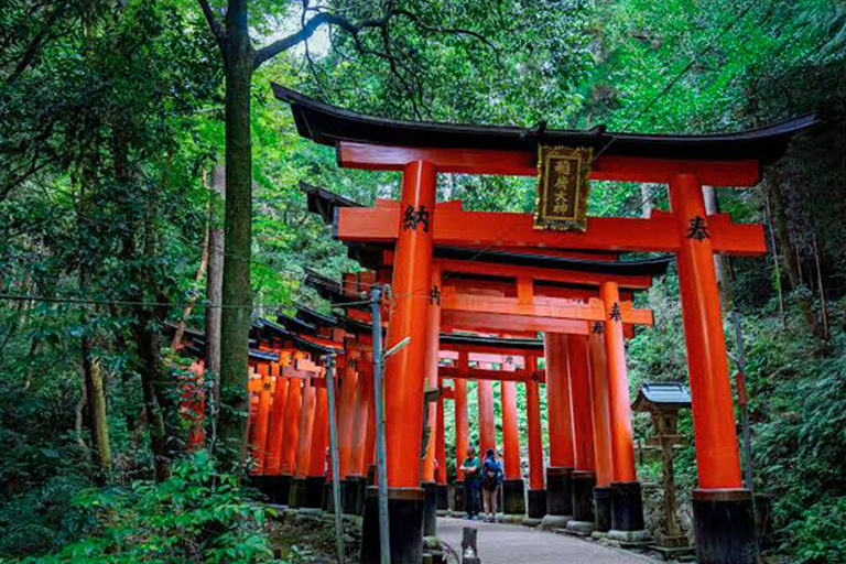 Kyoto/Osaka/Nara: Kyoto Private Guided Day Trip on Vehical