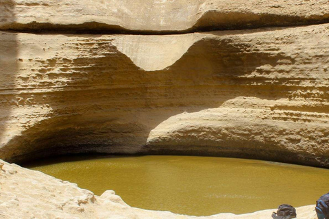 Depuis Ica || Excursion d&#039;une journée complète au Canyon de Los Perdidos ||