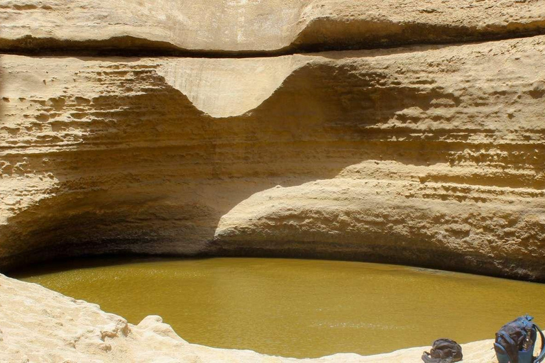 Depuis Ica || Excursion d&#039;une journée complète au Canyon de Los Perdidos ||