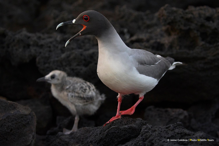San Cristobal: Highlands, Beach, and Snorkeling Tour