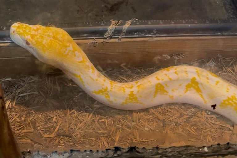 Southern Glades Wildlife Airboat Farm Tasting from Miami Everglades Wildlife Airboat Farm Tasting from Miami