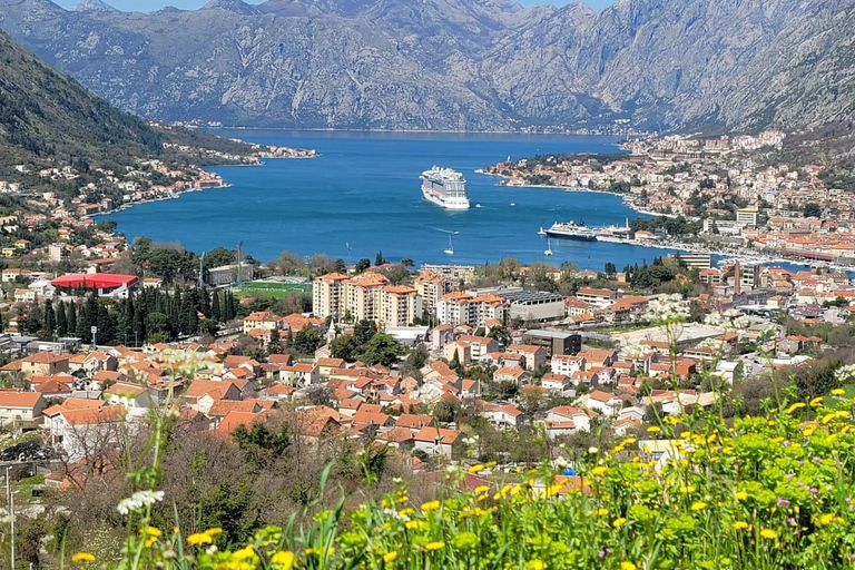 From Kotor: Half-Day Private Tour of Perast & Kotor