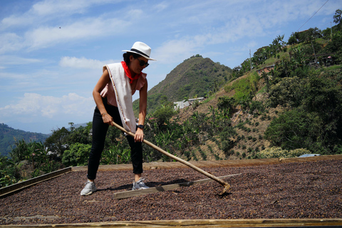 From Medellin: Coffee and Comuna 13 Tour with PRIVATE transportation From Medellin: Coffee Tour and Comuna 13 with PRIVATE transportation