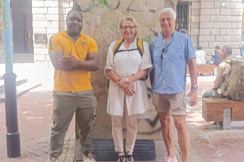 Cape Town: Apartheid History and City Walking Tour