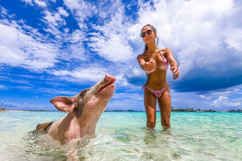 Nassau: boottocht Sun Cay en zwemmende varkens met lunch