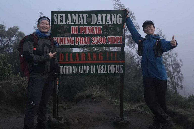 Dieng Plateau & Mt Prau Sunset Hike from Yogyakarta Shared Transport Service Only (Entry Fees Paid Separately)