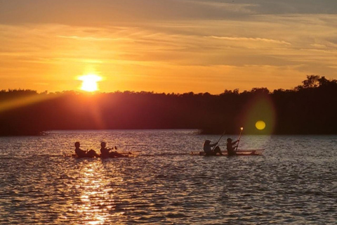 Fort Pierce: Clear Kayak Tour with Wildlife Sightings