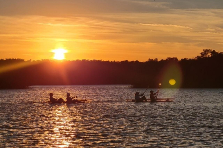 Fort Pierce: Clear Kayak Tour with Wildlife Sightings