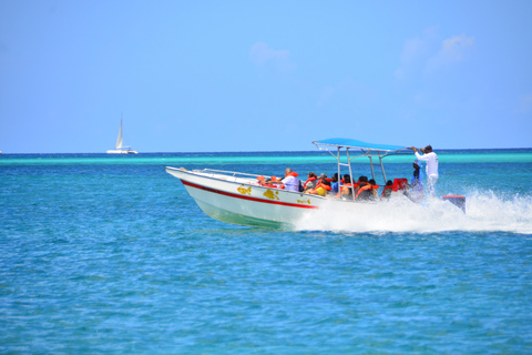 Punta Cana: Saona without the Crowds – 4-Beach Speedboat Sightseeing Tour and Lunch