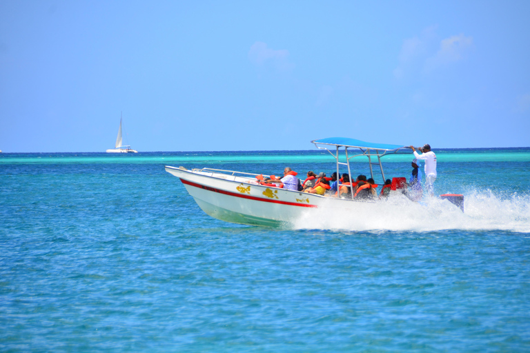 Punta Cana: Saona without the Crowds – 4-Beach Speedboat Sightseeing Tour and Lunch