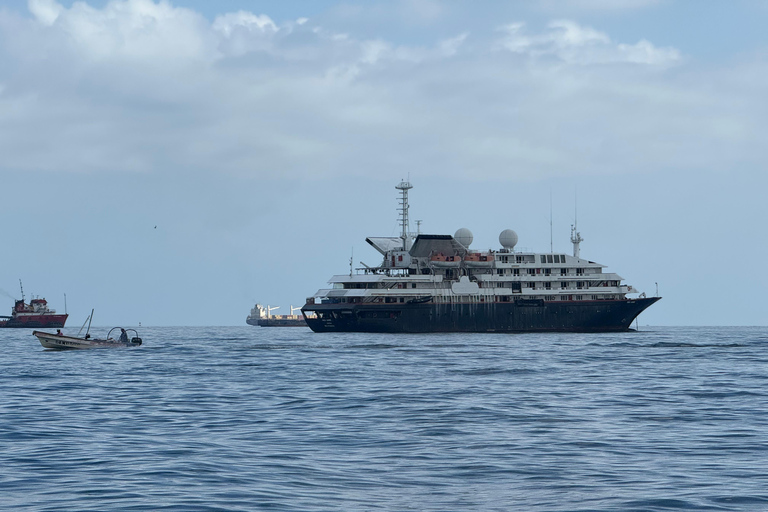Private Tour of Panama City: Biomuseo, MAC & Casco Antiguo