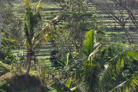 Avventura al Tempio di Selogriyo: trekking tra risaie e rafting sul fiume EloAvventura al tempio di Selogriyo: trekking nella risaia e rafting sul fiume Elo