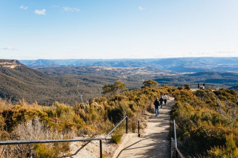 Blue Mountains: tour tra natura e fauna selvatica da Sydney