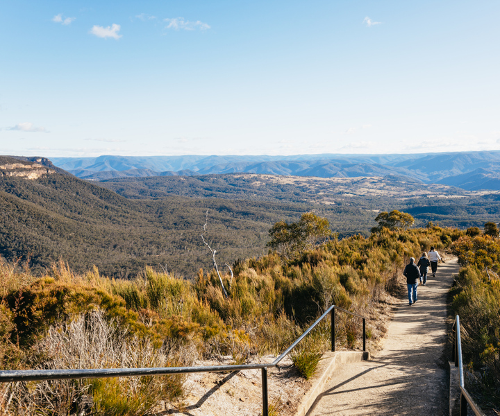 From Sydney: Blue Mountains Nature and Wildlife Tour