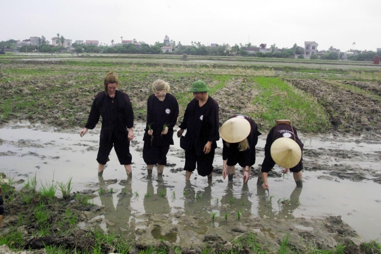 Hanoi: 2-tägige Ha Long und vietnamesische Landwirtschaftstour