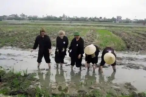 Unique 2 - Day Halong Ninh Binh Farming Tour
