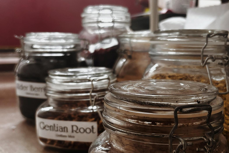 Montezuma: Retiro de bem-estar de 5 dias com refeições e atividadesMontezuma: retiro de bem-estar de 5 dias com refeições e atividades