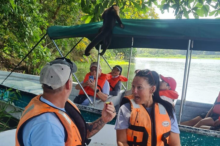 visite privée de l&#039;île aux singes