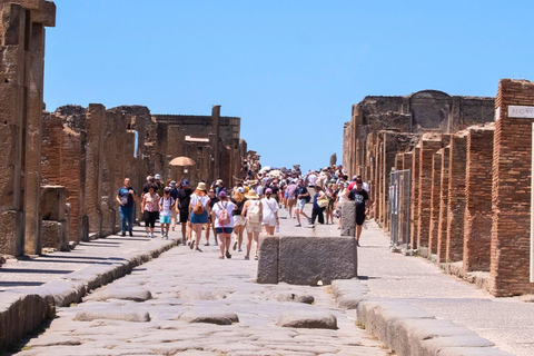 Rome: Pompeii & Amalfi Coast Day Trip, Skip-the-Line POMPEII ONLY Day Experience – No Amalfi Coast Included