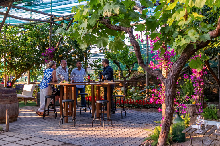 SORRENTO: Degustazione di vini con vista sul mare in un limoneto