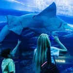 Dubai: Acquario e Burj Khalifa Livelli 124 e 125 Biglietto cumulativo