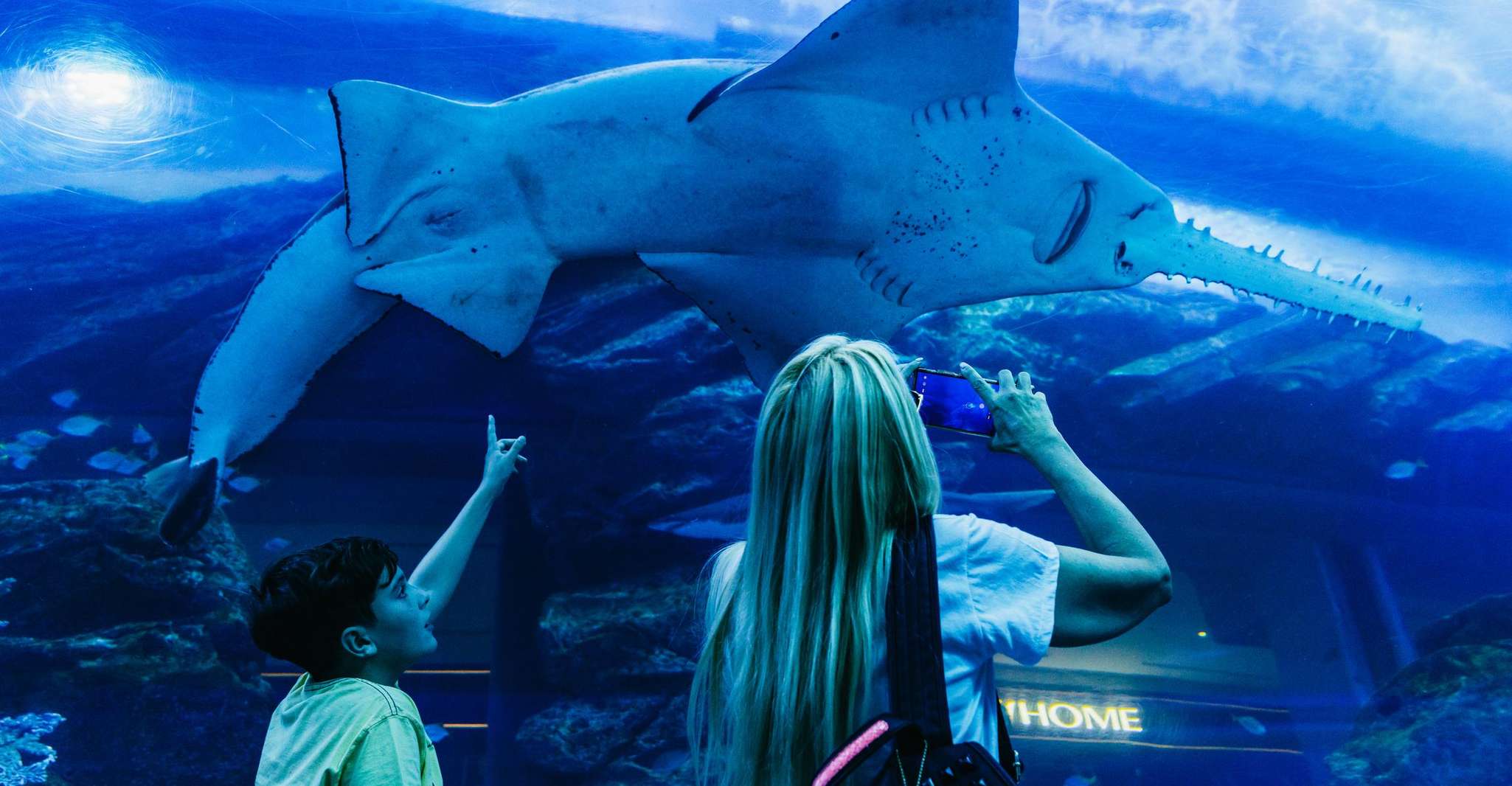 Dubai: Aquarium & Burj Khalifa Levels 124 & 125 Combo Ticket